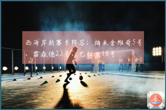 西海岸新赛季阵容：梅米舍维奇5号、雷森德23号、巴拉克18号