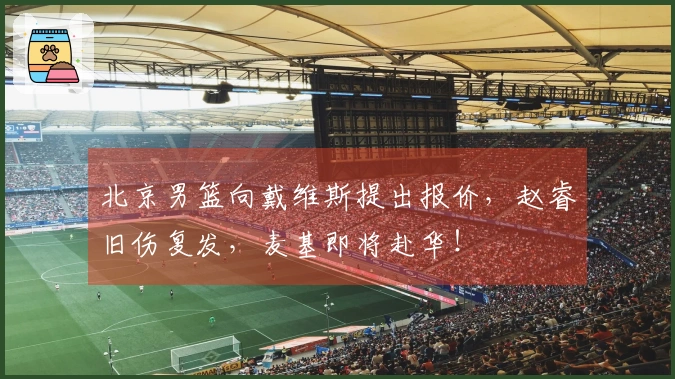北京男篮向戴维斯提出报价，赵睿旧伤复发，麦基即将赴华！
