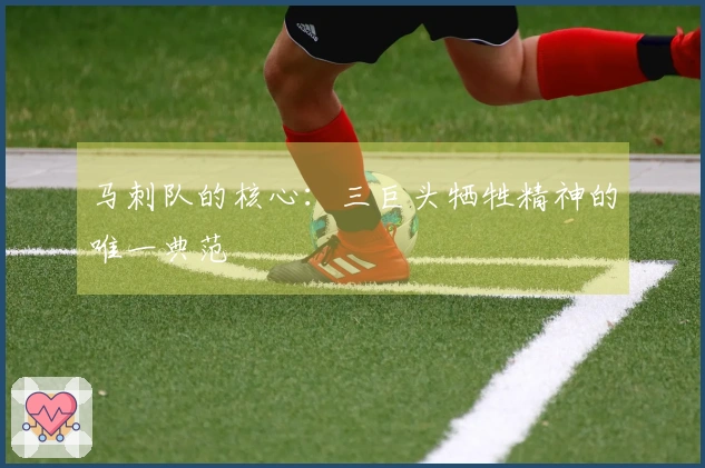 马刺队的核心：三巨头牺牲精神的唯一典范